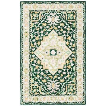 Tuscan Green Ivory Persian Handmade Wool Rug
